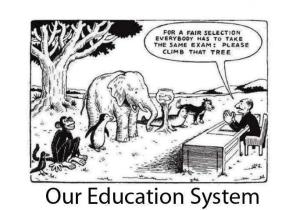 Our education system