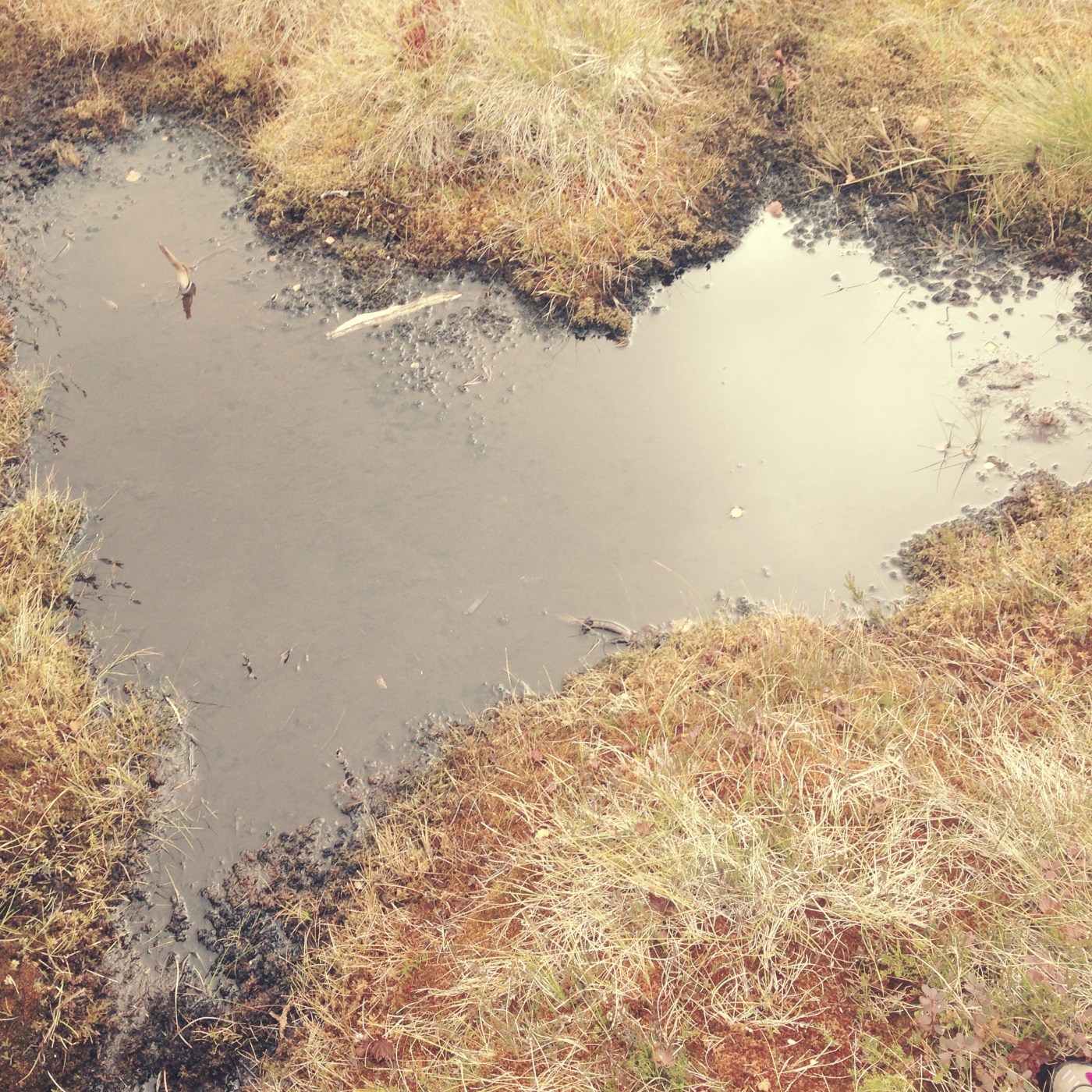 Vannpytt formet som et hjerte