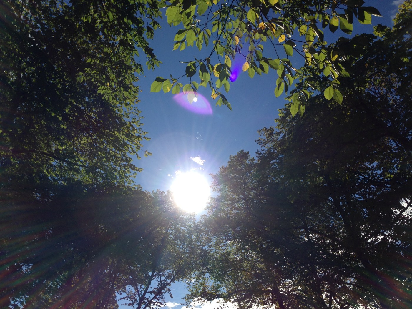 Illustrasjonsfoto: Sol som bryter gjennom trærne