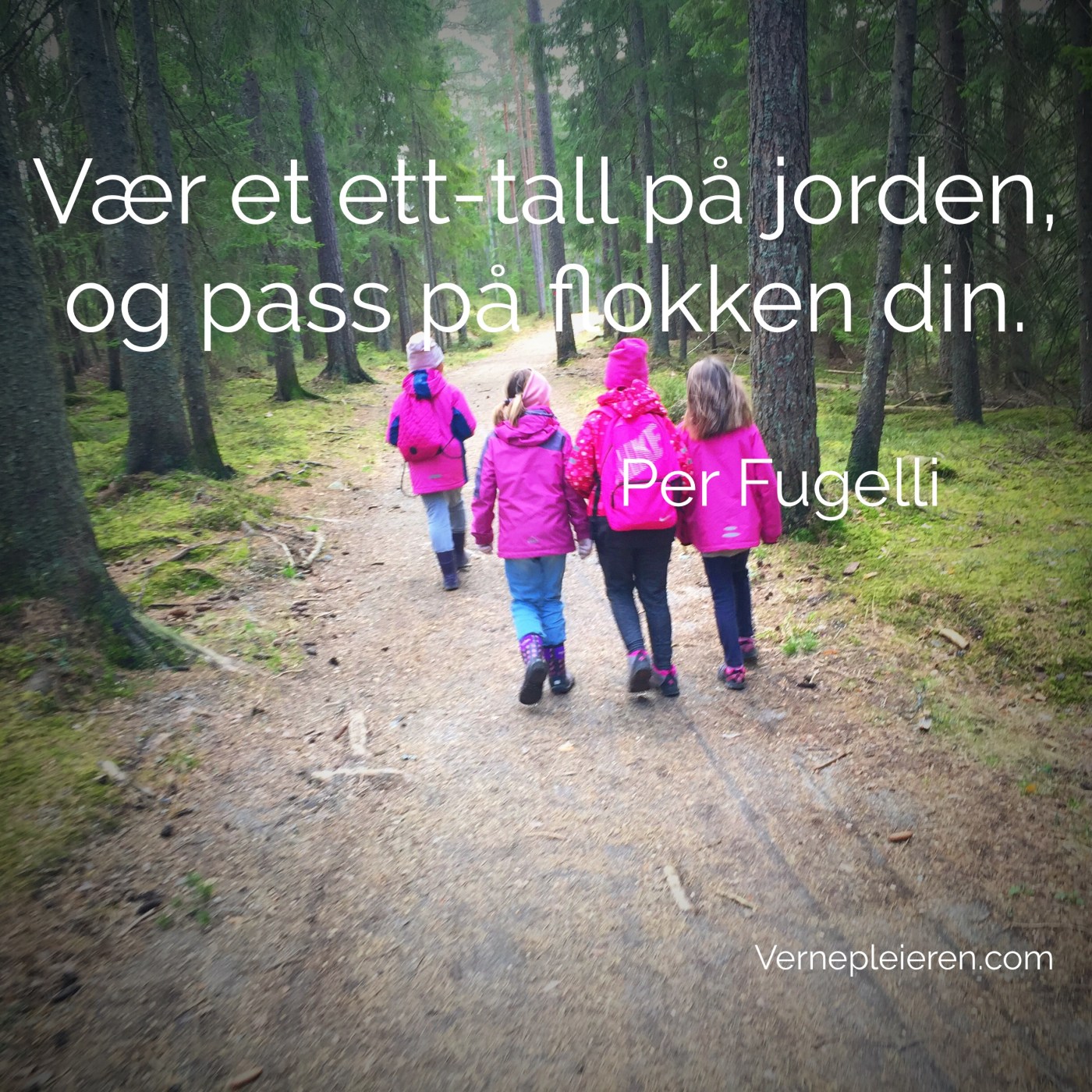 Bilde av fire jeneter som går i skogen, med følgende tekst: Vær et ett-tall på jorden, og pass på flokken din."