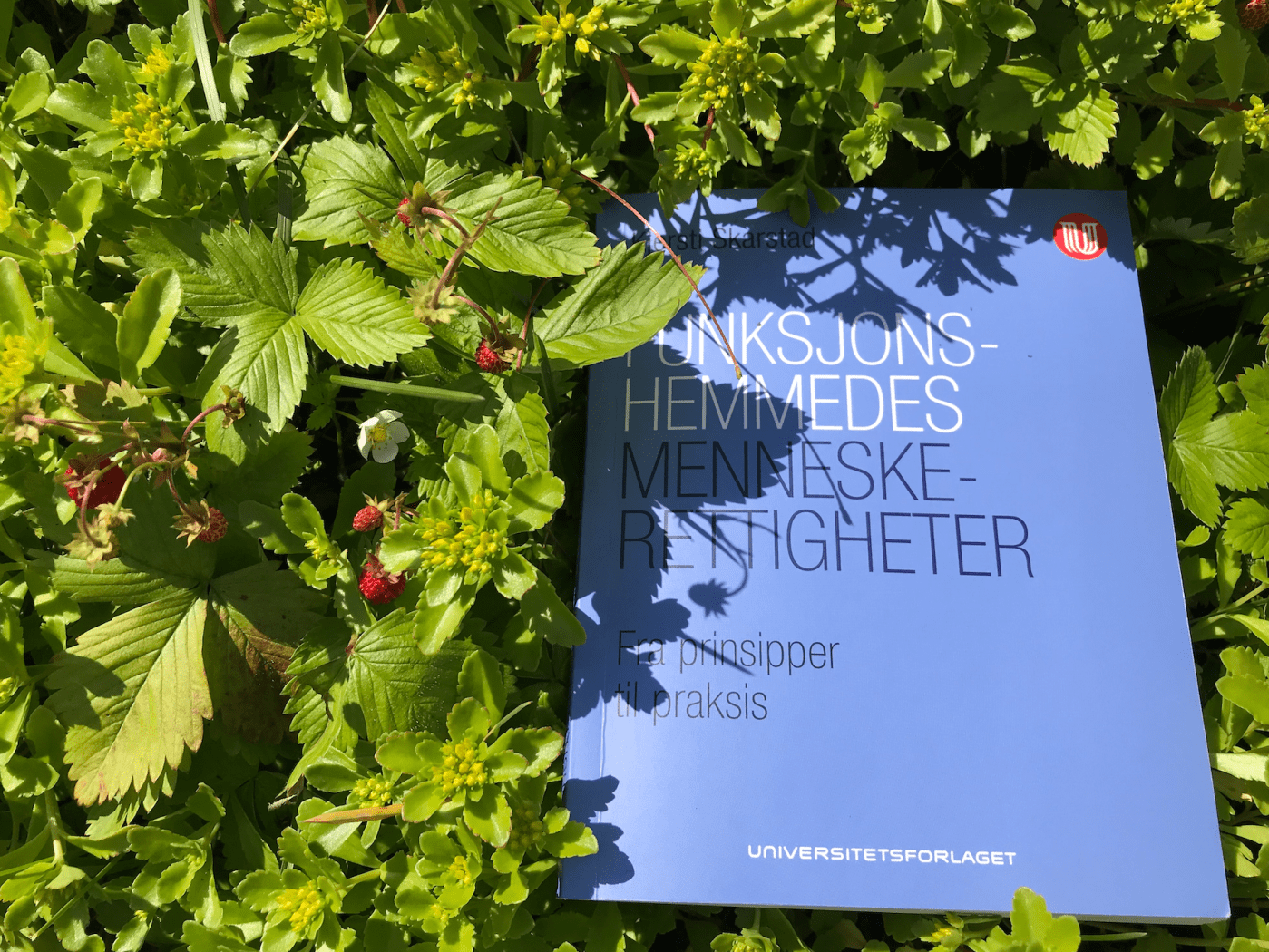 Årets sommerlektyre: Boken sammen med jordbærplanter