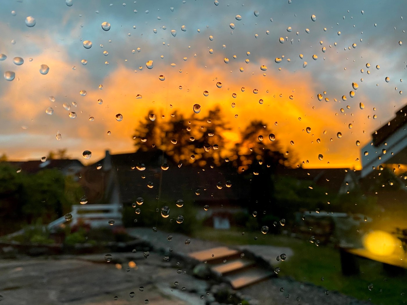 regndråper på vindu